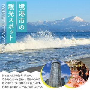 ふるさと納税 ＜定期便3回＞天然水奥大山(500ml×24本入り×3か月・計72本) 鳥取県境港市_4