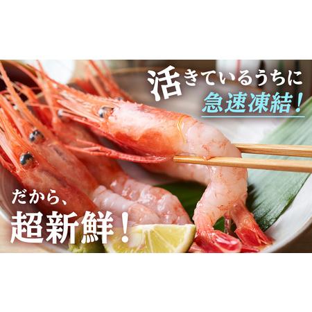 ふるさと納税 甘海老 北海道 虎杖浜産 約600g AA032 北海道白老町_1