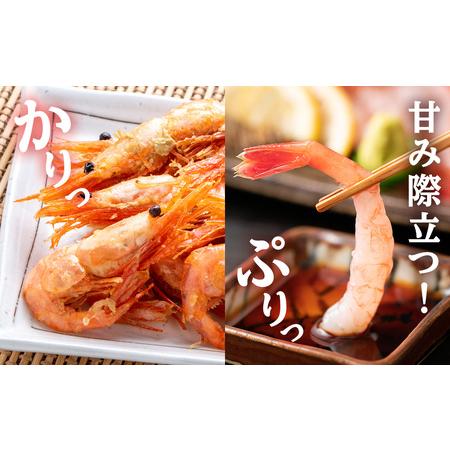 ふるさと納税 甘海老 北海道 虎杖浜産 約600g AA032 北海道白老町_2