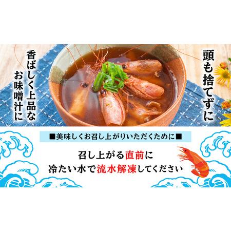 ふるさと納税 甘海老 北海道 虎杖浜産 約600g AA032 北海道白老町_3