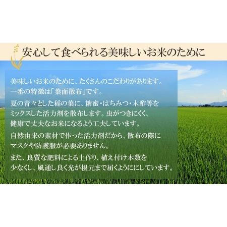 ふるさと納税 【令和6年産 先行予約】 井上農場の特別栽培米 雪若丸 無洗米 8kg (2kg×4袋) K-637 山形県鶴岡市｜furunavi｜02