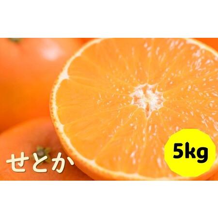 ふるさと納税 せとか バラ詰め 5kg 先行予約 2025年1月発送 愛媛 数量限定 愛媛県産 人気 柑橘 伊予市|C55 愛媛県伊予市