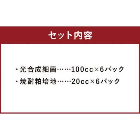 ふるさと納税 光合成細菌 ( 2L培養キット × 6セット ) 熊本県菊池市｜furunavi｜02