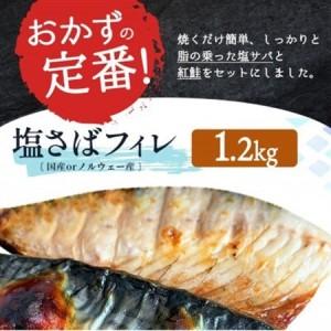 ふるさと納税 【毎月定期便】【ご家庭用訳あり】人気の塩さばフィレ＆紅鮭切身セット計2kg全3回【配送不可地域：離島】【4050164】 和歌山県日高町の画像