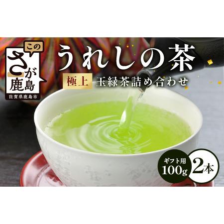 ふるさと納税 うれしの茶 極上玉緑茶 2本入 詰め合わせ(ギフト用) B-752 佐賀県鹿島市