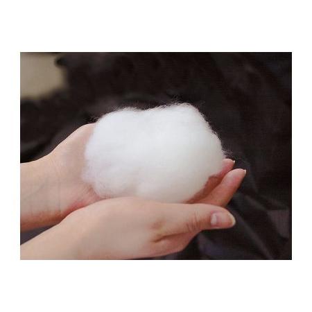 ふるさと納税 ふわふわもちもち とろけるような心地よさ オールシーズン マシュマロフトン パステルラベンダー 1枚 シングル 150×200cm [.. 大阪府泉大津市_2