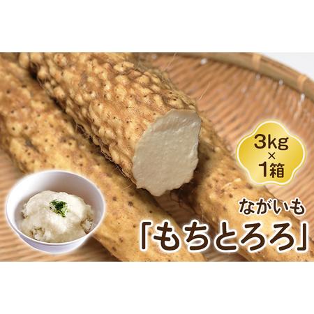 ふるさと納税 ながいも「もちとろろ」3kg×1箱｜長芋 [0631] 青森県