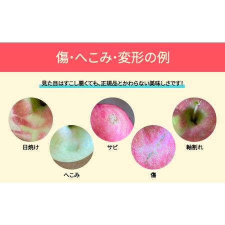 ふるさと納税 【先行予約】りんご 品種おまかせ 10kg 色むら 傷 ふるさと納税 【先行予約】りんご 品種おまかせ 10kg 色むら 傷