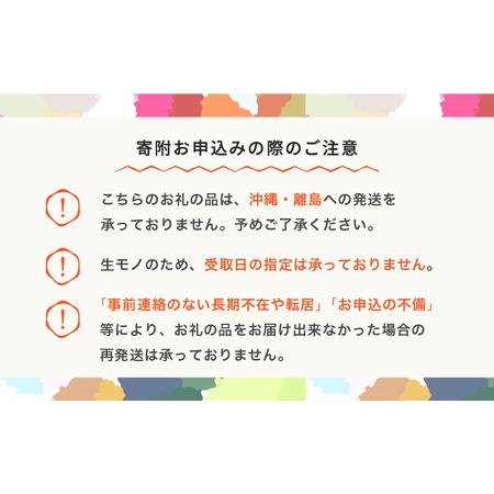 ふるさと納税 【先行予約】りんご 品種おまかせ 10kg 色むら 傷 ふるさと納税 【先行予約】りんご 品種おまかせ 10kg 色むら 傷