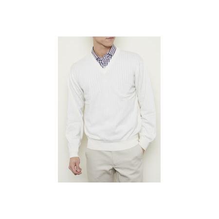 ふるさと納税 メンズウエア 限定枚 Vセーター 日本製 カシミヤ100 Vセーター