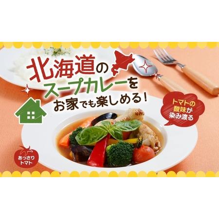 ふるさと納税 スープカレーの素 うちのスープカレー トマト味 2人前×6袋 小分け スープカレー スパイス トマト スープ カレー 簡単 手軽 料.. 北海道札幌市_1