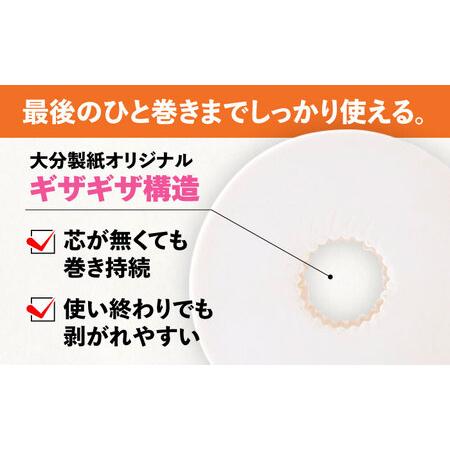 ふるさと納税 【全6回定期便】トイレットペーパー ダブル 24ロール 長巻き 65m (6ロール×4パック) 宅配 エコワンタッチ コアレス[VAA056] 福岡県豊前市の画像