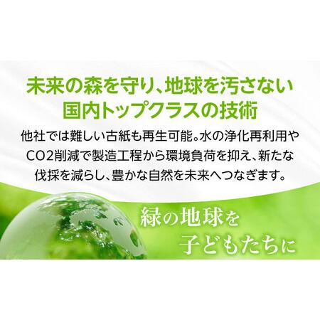 ふるさと納税 【全6回定期便】【細穴タイプ】 トイレットペーパー ダブル 24ロール 長巻き 65m (6ロール×4パック) 宅配 コアレス [VAA064] 福岡県豊前市の画像