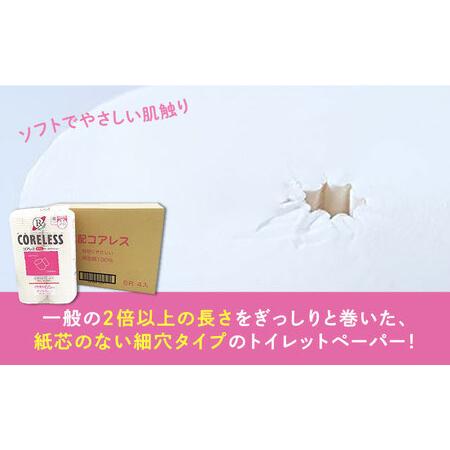 ふるさと納税 【隔月配送 全6回定期便】【細穴タイプ】 トイレットペーパー ダブル 24ロール 長巻き 65m (6ロール×4パック) 宅配 コアレス .. 福岡県豊前市の画像