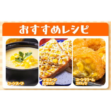 ふるさと納税 【特大】 とうもろこし 極甘 スイートコーン 「 ゴールドラッシュ 」 5kg 以上 11〜13本 特大 サイズ　来年分先行予約 受付中 【20.. 北海道名寄市