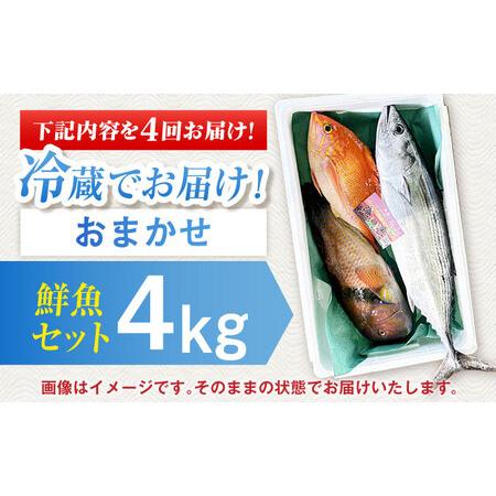 ふるさと納税 【全4回定期便】【五島列島直送】朝獲れ鮮魚セット4kg 五島市/鯛福丸水産[PDP014]   魚 鮮魚 セット 海鮮 直送 さかな 詰合せ 冷蔵 長崎県五島市の画像
