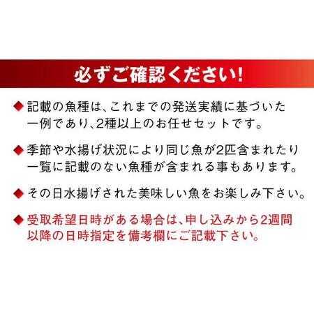 ふるさと納税 【全4回定期便】【五島列島直送】朝獲れ鮮魚セット4kg 五島市/鯛福丸水産[PDP014]   魚 鮮魚 セット 海鮮 直送 さかな 詰合せ 冷蔵 長崎県五島市の画像