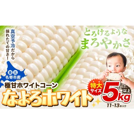 ふるさと納税 「 なよろホワイト 」 5kg 以上 11〜13本 とうもろこし 北海道名寄市