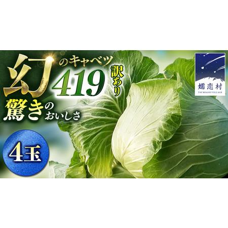 ふるさと納税 【7月中旬発送開始】訳あり まぼろしの419キャベツ 4玉