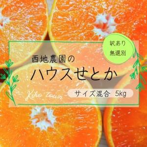 ふるさと納税 訳あり せとか 西地農園の ハウス せとか 5kg[mnd009A] 三重県紀宝町