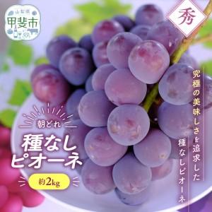 ふるさと納税 種なし ピオーネ 約2kg 山梨県産ぶどう ぶどう 山梨県甲斐市 : ふるなび(ふるさと納税) - 通販 - Yahoo!ショッピング