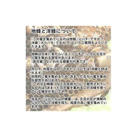 ふるさと納税 【先行予約】爽やかな香り広がる100%天然蜂蜜 ぶんたん山の蜂蜜　360g 3本入り〈2026年6月頃から順次発送〉 / はちみつ ハチミツ.. 高知県土佐市_3