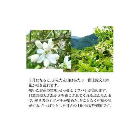 ふるさと納税 【先行予約】爽やかな香り広がる100%天然蜂蜜 ぶんたん山の蜂蜜 360g 2本入り〈2026年6月頃から順次発送〉  /  はちみつ ハチミツ.. 高知県土佐市の画像