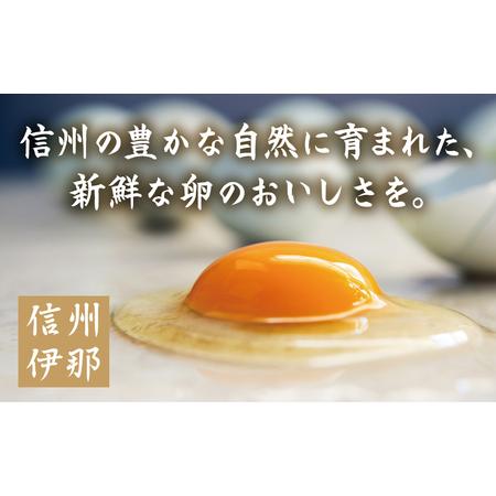 ふるさと納税 冷凍厚焼玉子 500g×2本入り｜卵 冷凍 卵焼き 厚焼玉子 和食 食品 おかず 伊那 長野県 信州【009-25】 長野県伊那市の画像