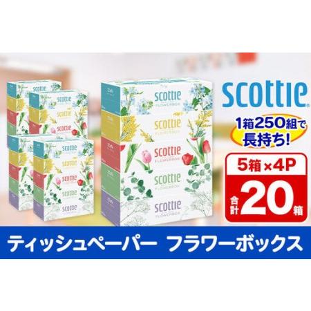 ふるさと納税 ティッシュペーパー スコッティ フラワーボックス250組 20箱(5箱×4パック) ティッシュ 秋田市オリジナル 新生活 秋田県秋田市