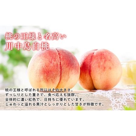 ふるさと納税 ≪8月下旬〜9月中旬発送予定≫ 津軽の桃 川中島白桃 約3kg  秀品 《hi-0001-002》 青森県平川市の画像