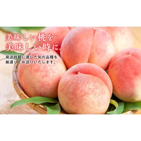 ふるさと納税 ≪8月中旬〜8月下旬発送予定≫津軽の桃 旬の白桃 約3kg 秀品 《hi-0001-004》 青森県平川市の画像
