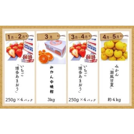 ふるさと納税 福岡県旬のフルーツ定期便【年10回コース】【1〜2月開始】[H5261] 福岡県福津市_2