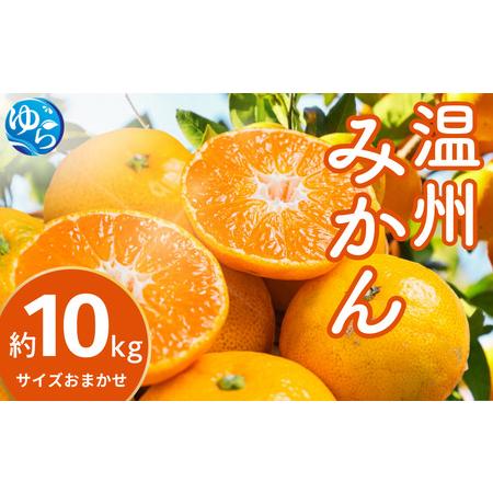 ふるさと納税 温州みかん 10kg (サイズおまかせ) ※2026年12月中旬〜2027年1月下旬に順次発送予定 ※北海道・沖縄・離島配送不可 / ミカン 蜜.. 和歌山県由良町