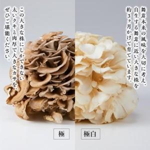 ふるさと納税 雪国まいたけ　極白黒セット【極 1株約900g　 極白 1株約800g】　これが雪国史上、最高傑作　長期熟成と大株仕立てが生み出す圧.. 新潟県南魚沼市_1
