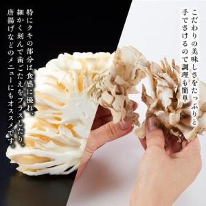 ふるさと納税 雪国まいたけ　極白黒セット【極 1株約900g　 極白 1株約800g】　これが雪国史上、最高傑作　長期熟成と大株仕立てが生み出す圧.. 新潟県南魚沼市_2