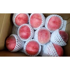 ふるさと納税 長野市産桃「あかつき」約3kg(8-10個） 長野県長野市の画像