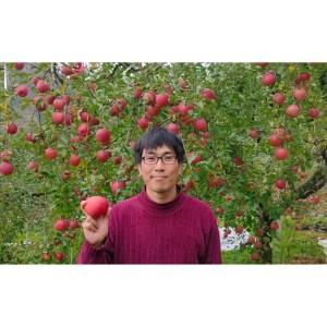 ふるさと納税 長野市産桃「あかつき」約3kg(8-10個） 長野県長野市の画像