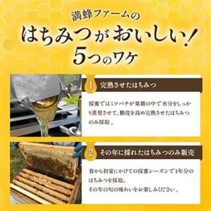 ふるさと納税 浜名湖ほとりで採れた天然はちみつ 渚みかんはちみつ・みなと百花はちみつ 各460g 2本セット_調味料 はちみつ  ハチミツ 蜂蜜_【13.. 静岡県湖西市の画像