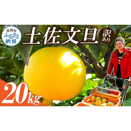 ふるさと納税 [先行予約]高知県産 訳あり土佐文旦20kg(10kg×2箱) 高知県芸西村