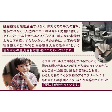 ふるさと納税 ハンデルスベーゲン無添加濃厚アイスクリーム12個セット 高級最高品質/北海道牛乳使用 おすすめ/送料無料 スイーツギフト詰め合.. 神奈川県横浜市_4