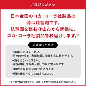 ふるさと納税 ジョージア ザ・ブラック 500ml PET（24本入）コーヒー 珈琲 コーヒー豆 ジョージア ブラック 香り高い コク ブラックコーヒー コ.. 滋賀県守山市