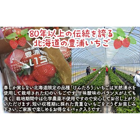 ふるさと納税 【訳アリ】完熟冷凍苺 紅ほっぺ1.0kg / 化粧箱入【果実