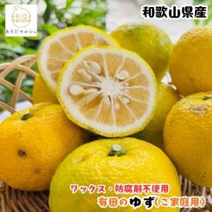 ふるさと納税 [先行予約][国産]紀州和歌山のご家庭用訳あり 柚子(ゆず)1kg [MS137] 和歌山県印南町