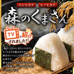 ふるさと納税 【定期便3回】令和7年産 熊本県産 森のくまさん 白米 10kg こめ 米 熊本県和水町