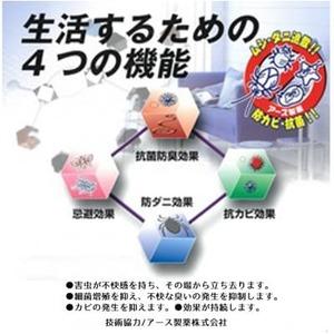 ふるさと納税 【江戸間10畳】防ダニ・防虫・抗カビ高機能クリーンカーペットベージュ(トレド10畳BE)【1493242】 大阪府和泉市の画像
