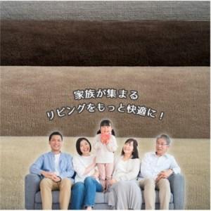 ふるさと納税 【江戸間6畳】ベーシックカラーリビングカーペットアイボリー(ストーリー6畳IV)【1493379】 大阪府和泉市_2