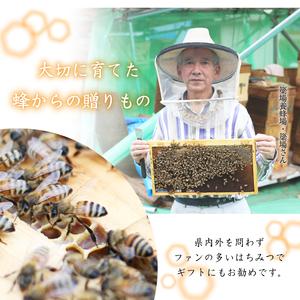 ふるさと納税 簗場養蜂場 非加熱 生はちみつ とち 500g 2本 【あねっこ】 純粋 蜂蜜 はちみつ ハチミツ ハニー 1kg 1キロ 国産 国内産 日本産 ボ.. 岩手県雫石町の画像
