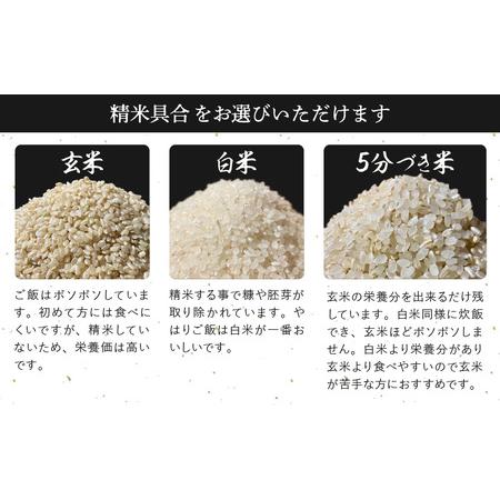 ☆関税込☆ふるさと納税 【先行予約】【令和7年産 新米】定期便 ≪3ヶ月連続お届け≫ 旨いご飯！お米 こしひかり 5kg × 3回 計15kg 「5分づき米」 福.. 福井県越前町☆大人気☆