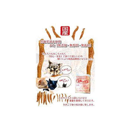 ふるさと納税 国産 鳥取産 ペットおやつ 犬猫用 ささみパリパリ １０袋 無添加 無香料 無着色 美味しい鳥取産鶏肉使用 ササミおやつ_T2600256 鳥取県_2