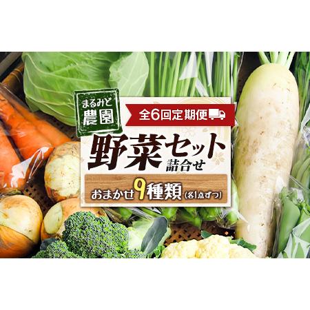ふるさと納税 『定期便』全6回 野菜セット 詰め合わせ まるみど ふるさと納税 『定期便』全6回 野菜セット 詰め合わせ まるみど